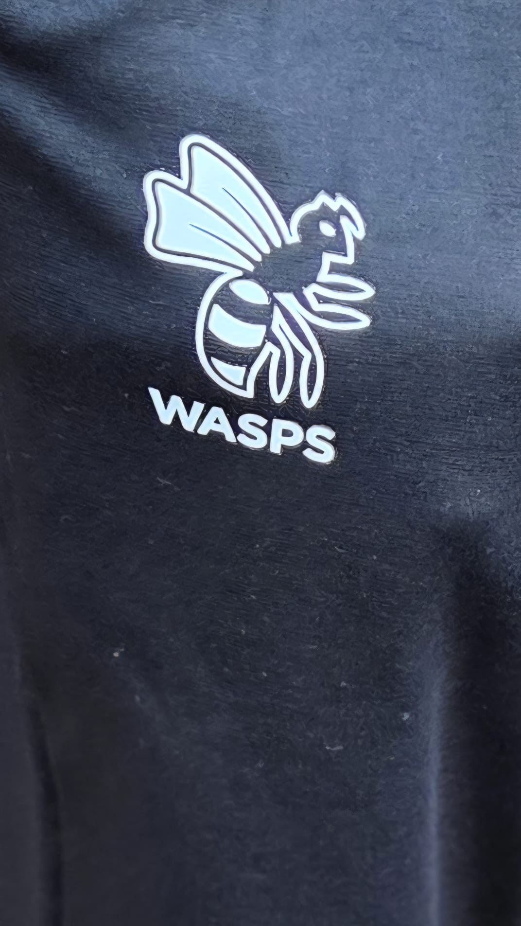 Wasps Performance Training Pants